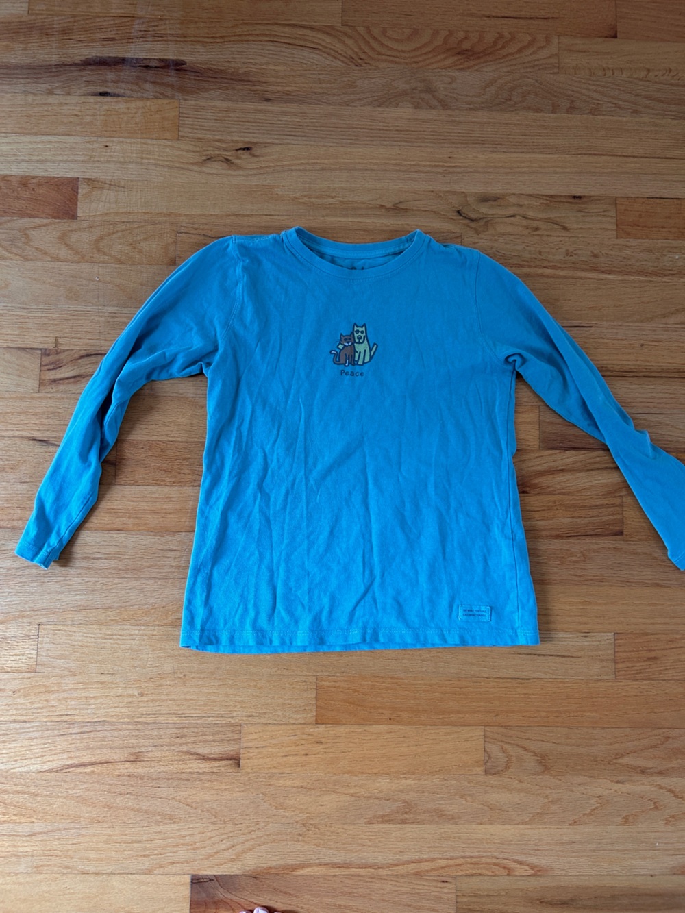 Kids Long-Sleeve Blue Graphic Tee